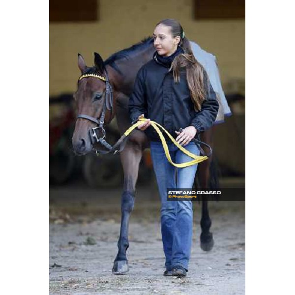 Sharstar and his groom in the stables of Borgo Andreina Merano, 26th sep. 2008 ph. Stefano Grasso
