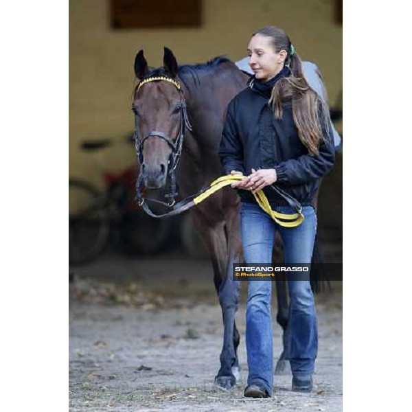 Sharstar and his groom in the stables of Borgo Andreina Merano, 26th sep. 2008 ph. Stefano Grasso