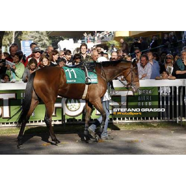 Sharstar parading with his groom before winning the 69¡ Gran Premio Merano Forst Merano, 28th sep. 2008 ph. Stefano Grasso