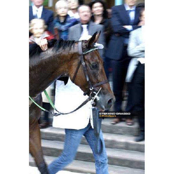 Sharstar parading with his groom after winning the 69¡ Gran Premio Merano Forst Merano, 28th sep. 2008 ph. Stefano Grasso