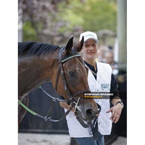 Sharstar parading with his groom after winning the 69¡ Gran Premio Merano Forst Merano, 28th sep. 2008 ph. Stefano Grasso