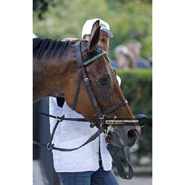 Sharstar parading with his groom after winning the 69¡ Gran Premio Merano Forst Merano, 28th sep. 2008 ph. Stefano Grasso