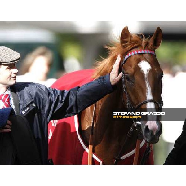 a caress to Bannaby winner of Qatar Prix du Cadran Paris Longchamp, 4th oct. 2008 ph. Stefano Grasso