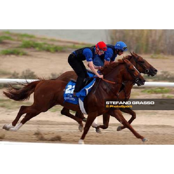 \'Jamie Spencer on Grandera cantering at Al Quoz morning Dubai march 26 2003-ph.Stefano Grasso\' 