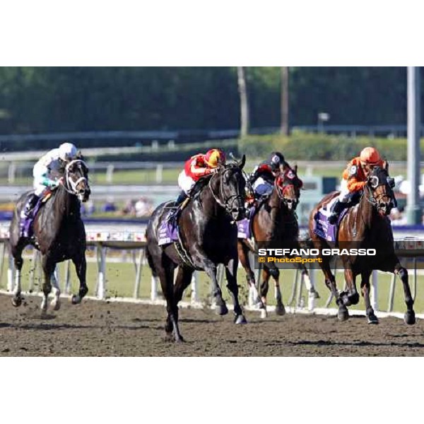 Garrett Gomez on Midnight Lute goes to win the Breeders\' Cup Turf at Santa Anita Los Angeles- Santa Anita, 25th oct. 2008 ph. Stefano Grasso