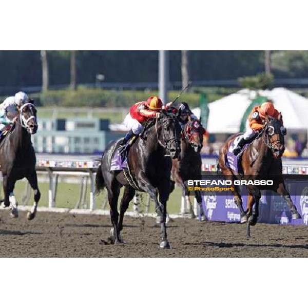 Garrett Gomez on Midnight Lute goes to win the Breeders\' Cup Turf at Santa Anita Los Angeles- Santa Anita, 25th oct. 2008 ph. Stefano Grasso