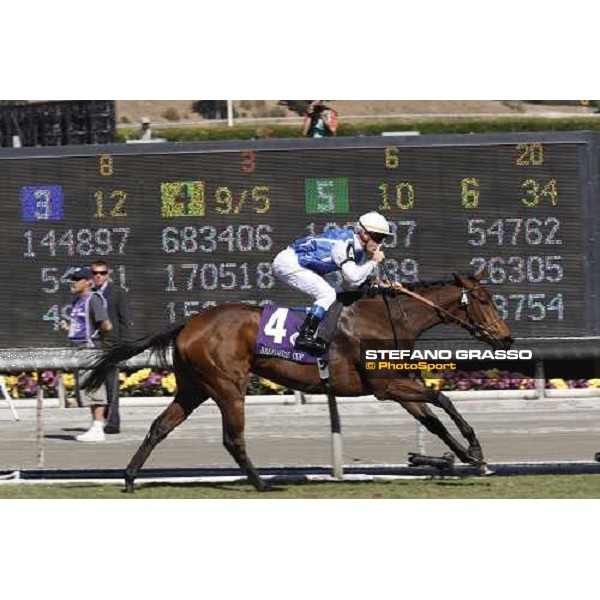Olivier Peslier on Goldikova celebrates after winning the Breeders\' Cup Mile at Santa Anita Los Angeles- Santa Anita, 25th oct. 2008 ph. Stefano Grasso