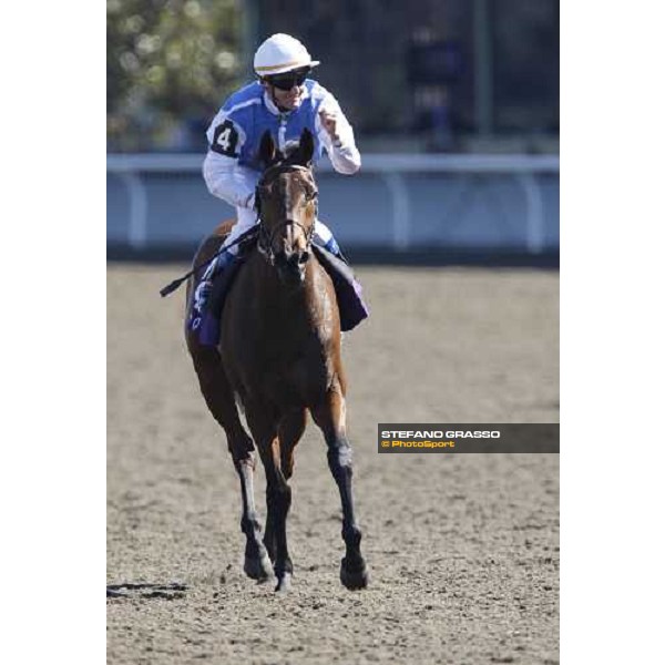 Olivier Peslier celebrates on Goldikova after winning the Breeders\' Cup Mile at Santa Anita Los Angeles- Santa Anita, 25th oct. 2008 ph. Stefano Grasso
