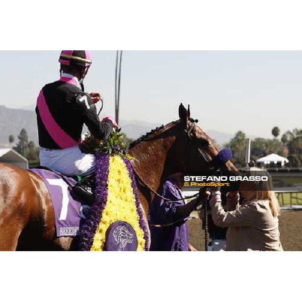 a kiss by the owner to Albertus Maximus after winning the Breeders\' Cup Dirt Mile at Santa Anita Los Angeles- Santa Anita, 25th oct. 2008 ph. Stefano Grasso