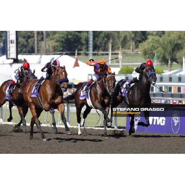 Garrett Gomez on Albertus Maximus goes to win the Breeders\' Cup Dirt Mile at Santa Anita Los Angeles- Santa Anita, 25th oct. 2008 ph. Stefano Grasso