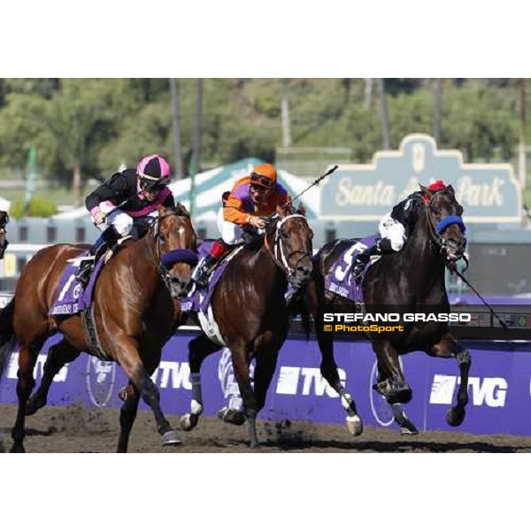 Garrett Gomez on Albertus Maximus goes to win the Breeders\' Cup Dirt Mile at Santa Anita Los Angeles- Santa Anita, 25th oct. 2008 ph. Stefano Grasso