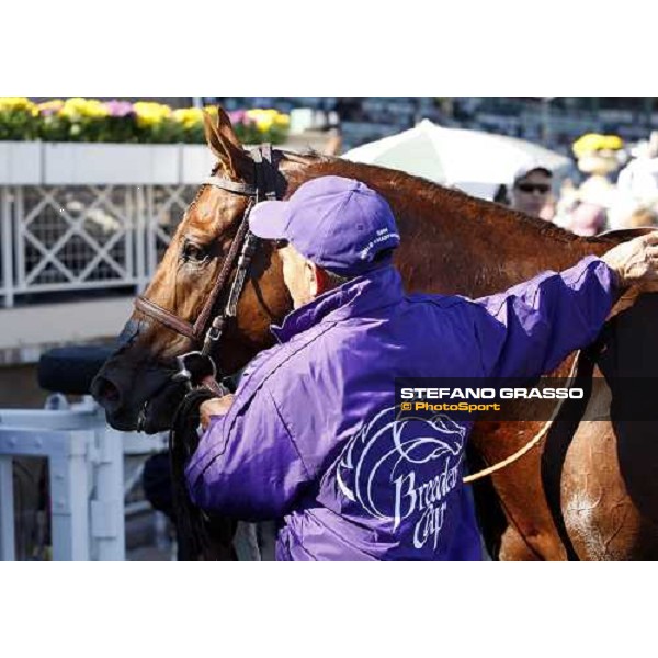 Desert Code comes back to the stable with his groom after winning the Breeders\' Cup Turf Sprint at Santa Anita Los Angeles- Santa Anita, 25th oct. 2008 ph. Stefano Grasso