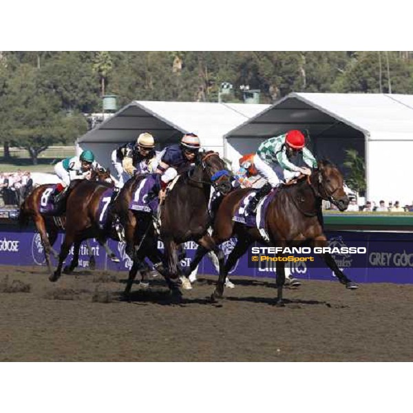 Pat Smullen on Muhannak wins the Breeders\' Cup Marathon at Santa Anita Los Angeles- Santa Anita, 25th oct. 2008 ph. Stefano Grasso
