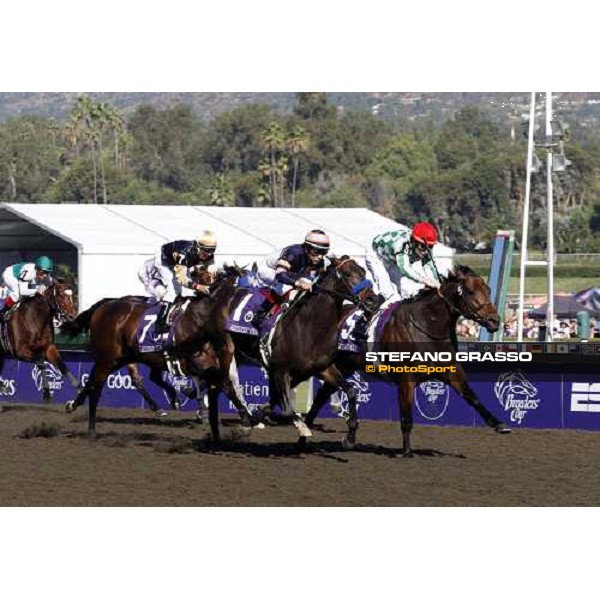 Pat Smullen on Muhannak wins the Breeders\' Cup Marathon at Santa Anita Los Angeles- Santa Anita, 25th oct. 2008 ph. Stefano Grasso