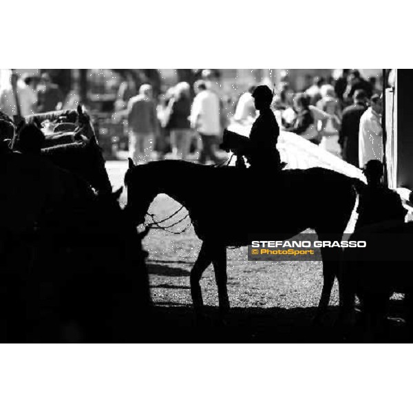 Breeder\'s Cup at Santa Anita Park Los Angeles - Santa Anita, 25th oct. 2008 ph. Stefano Grasso
