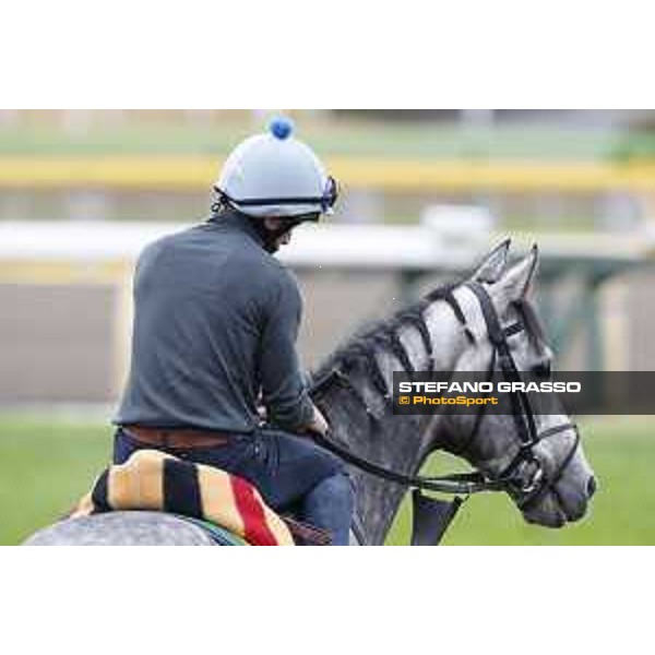 The 38th Japan Cup in association with Longines - morning track works Ryan Moore on Capri Tokyo - Fuchs racecourse, 22nd nov. 2018