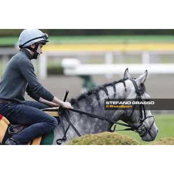 The 38th Japan Cup in association with Longines - morning track works Ryan Moore on Capri Tokyo - Fuchs racecourse, 22nd nov. 2018