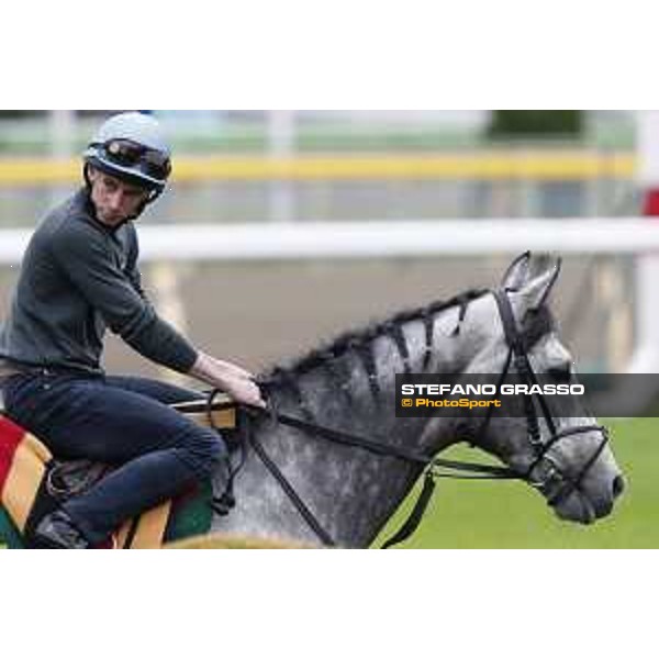 The 38th Japan Cup in association with Longines - morning track works Ryan Moore on Capri Tokyo - Fuchs racecourse, 22nd nov. 2018