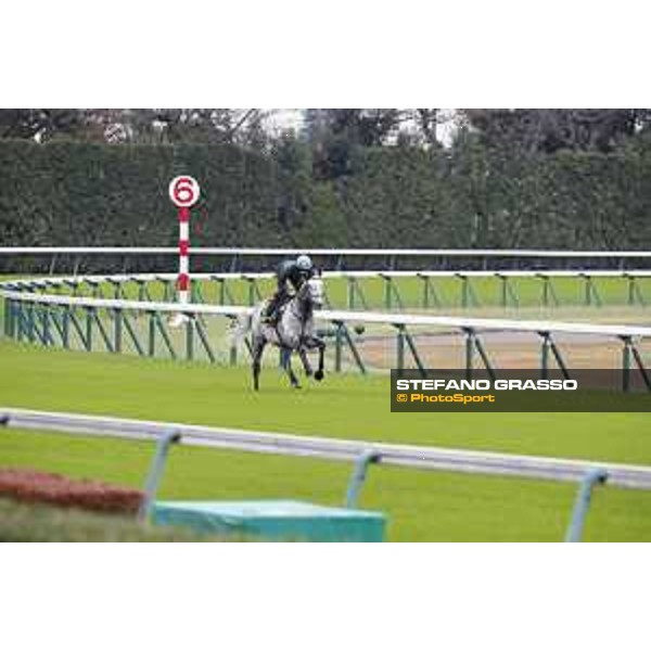 The 38th Japan Cup in association with Longines - morning track works Ryan Moore on Capri Tokyo - Fuchs racecourse, 22nd nov. 2018