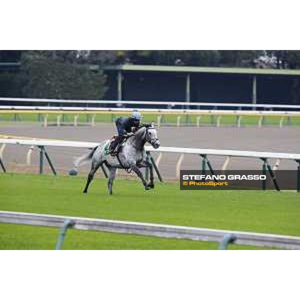 The 38th Japan Cup in association with Longines - morning track works Ryan Moore on Capri Tokyo - Fuchs racecourse, 22nd nov. 2018