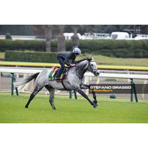 The 38th Japan Cup in association with Longines - morning track works Ryan Moore on Capri Tokyo - Fuchs racecourse, 22nd nov. 2018