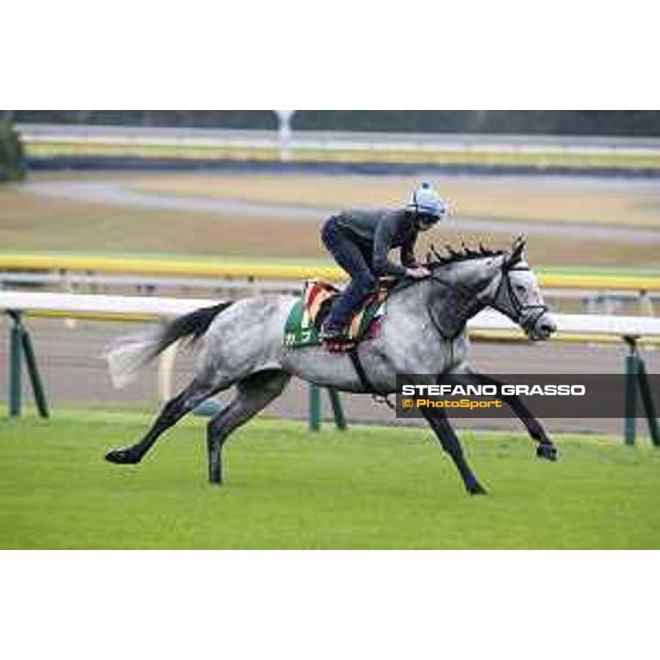 The 38th Japan Cup in association with Longines - morning track works Ryan Moore on Capri Tokyo - Fuchs racecourse, 22nd nov. 2018