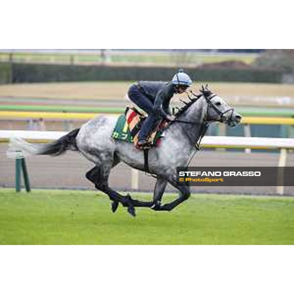 The 38th Japan Cup in association with Longines - morning track works Ryan Moore on Capri Tokyo - Fuchs racecourse, 22nd nov. 2018