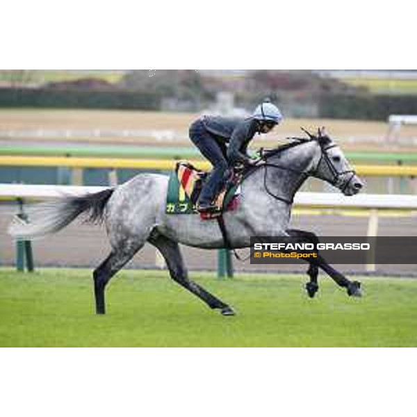 The 38th Japan Cup in association with Longines - morning track works Ryan Moore on Capri Tokyo - Fuchs racecourse, 22nd nov. 2018