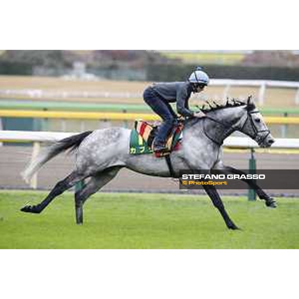 The 38th Japan Cup in association with Longines - morning track works Ryan Moore on Capri Tokyo - Fuchs racecourse, 22nd nov. 2018