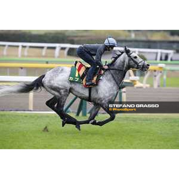 The 38th Japan Cup in association with Longines - morning track works Ryan Moore on Capri Tokyo - Fuchs racecourse, 22nd nov. 2018