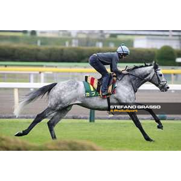 The 38th Japan Cup in association with Longines - morning track works Ryan Moore on Capri Tokyo - Fuchs racecourse, 22nd nov. 2018