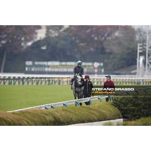 The 38th Japan Cup in association with Longines - morning track works Ryan Moore on Capri Tokyo - Fuchs racecourse, 22nd nov. 2018