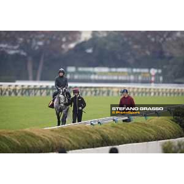 The 38th Japan Cup in association with Longines - morning track works Ryan Moore on Capri Tokyo - Fuchs racecourse, 22nd nov. 2018