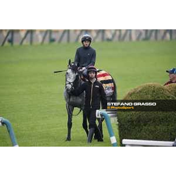 The 38th Japan Cup in association with Longines - morning track works Ryan Moore on Capri Tokyo - Fuchs racecourse, 22nd nov. 2018