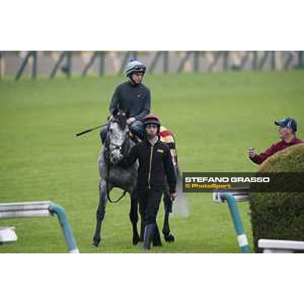 The 38th Japan Cup in association with Longines - morning track works Ryan Moore on Capri Tokyo - Fuchs racecourse, 22nd nov. 2018