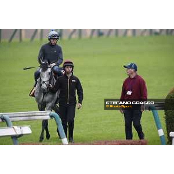 The 38th Japan Cup in association with Longines - morning track works Ryan Moore on Capri Tokyo - Fuchs racecourse, 22nd nov. 2018