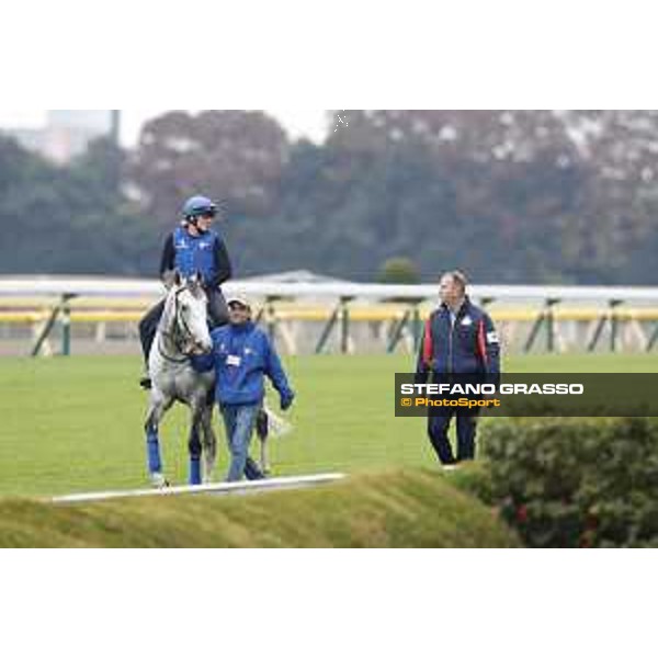 The 38th Japan Cup in association with Longines - morning track works Thundering Blue with trainer David Menuisier Tokyo - Fuchs racecourse, 22nd nov. 2018