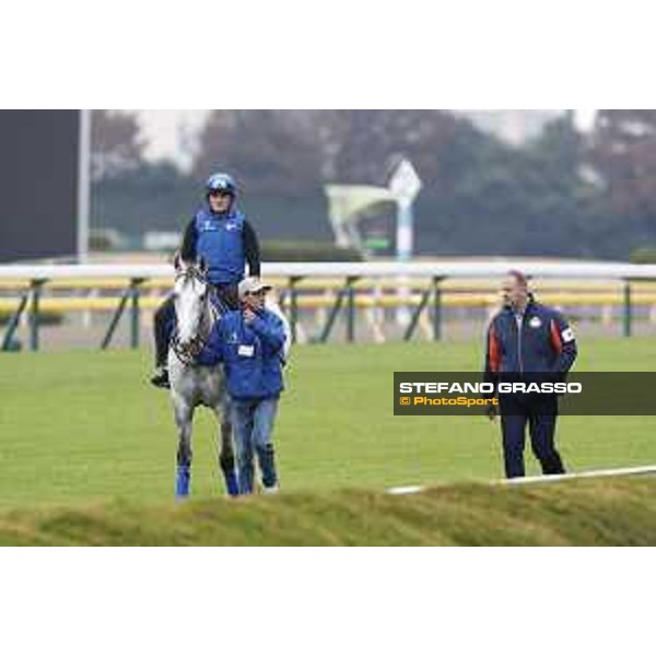 The 38th Japan Cup in association with Longines - morning track works Thundering Blue with trainer David Menuisier Tokyo - Fuchs racecourse, 22nd nov. 2018