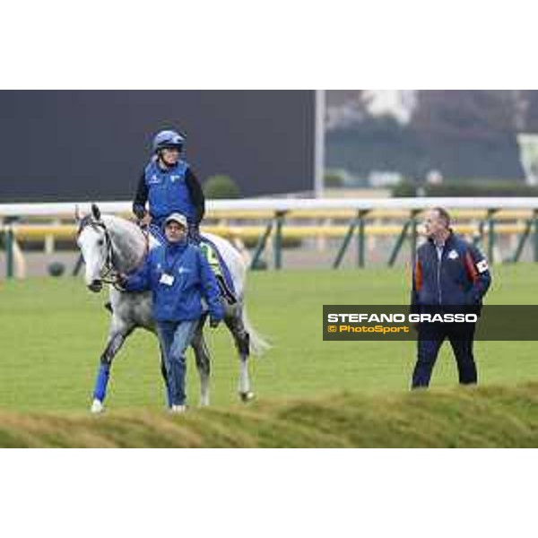 The 38th Japan Cup in association with Longines - morning track works Thundering Blue with trainer David Menuisier Tokyo - Fuchs racecourse, 22nd nov. 2018