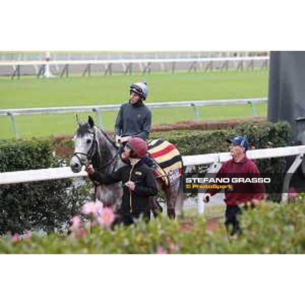 The 38th Japan Cup in association with Longines - morning track works Ryan Moore on Capri Tokyo - Fuchs racecourse, 22nd nov. 2018