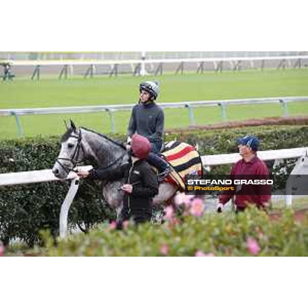 The 38th Japan Cup in association with Longines - morning track works Ryan Moore on Capri Tokyo - Fuchs racecourse, 22nd nov. 2018