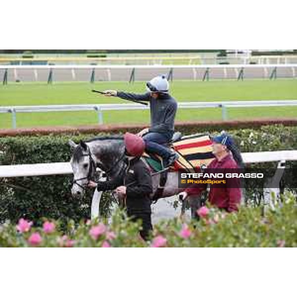 The 38th Japan Cup in association with Longines - morning track works Ryan Moore on Capri Tokyo - Fuchs racecourse, 22nd nov. 2018