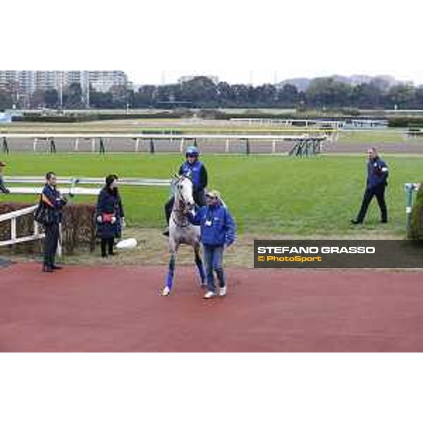 The 38th Japan Cup in association with Longines - morning track works Thundering Blue with trainer David Menuisier Tokyo - Fuchs racecourse, 22nd nov. 2018