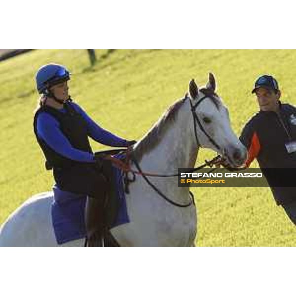 The 38th Japan Cup in association with Longines - Morning track works - Thundering Blue Tokyo - Fuchu racecourse 23rd nov. 2018