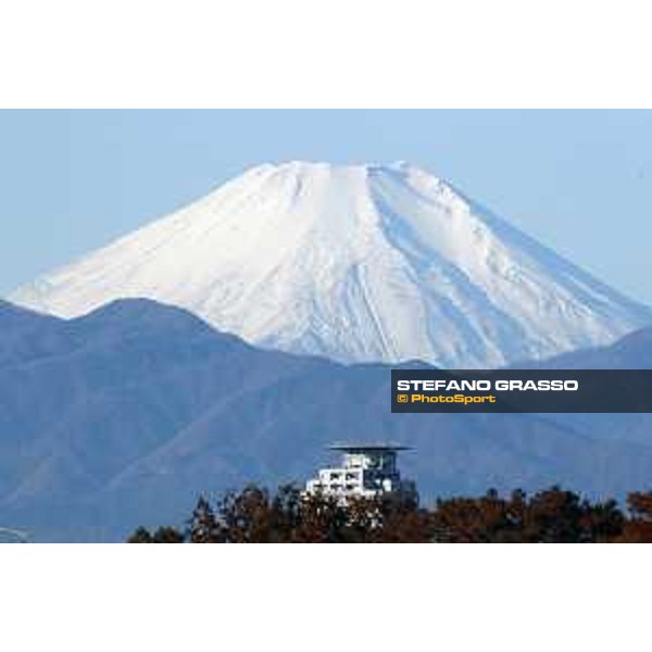 The 38th Japan Cup in association with Longines - Morning track works - The Fuji San Tokyo - Fuchu racecourse 23rd nov. 2018