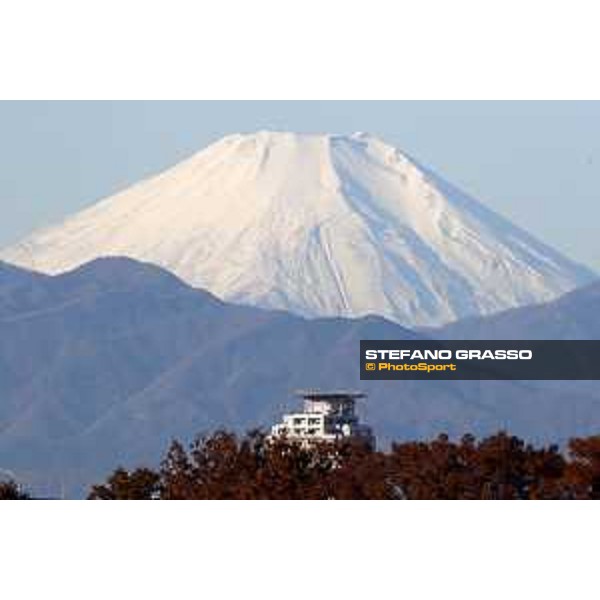 The 38th Japan Cup in association with Longines - Morning track works - The Fuji San Tokyo - Fuchu racecourse 23rd nov. 2018