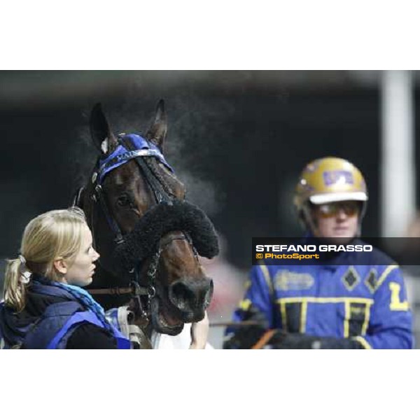 close up for Main Wise As with Hugo Langeweg after winning the Gran Criterium \'Memorial Piero Biondi\' Milan San Siro, 16th nov. 2008 ph. Stefano Grasso