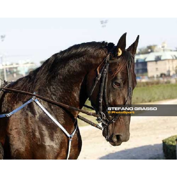 close up for Infinitif Milan, 16th nov. 2008 ph. Stefano Grasso