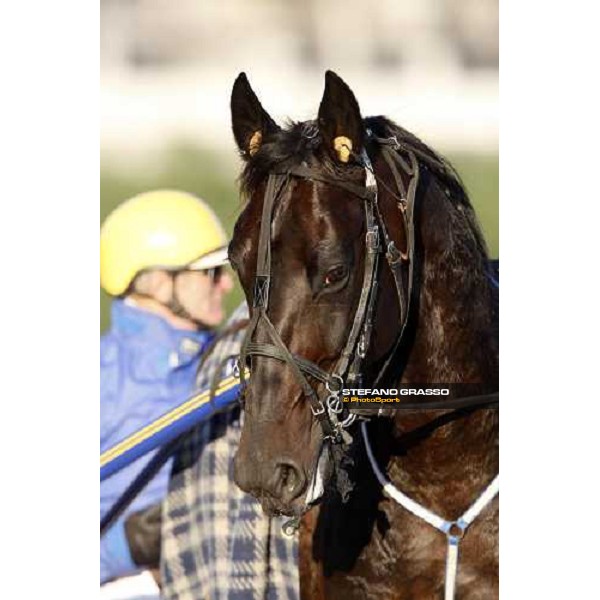 close up for Infinitif and Jean Pierre Dubois before the heat of Gran Premio U.E.T Milan, 16th nov. 2008 ph. Stefano Grasso