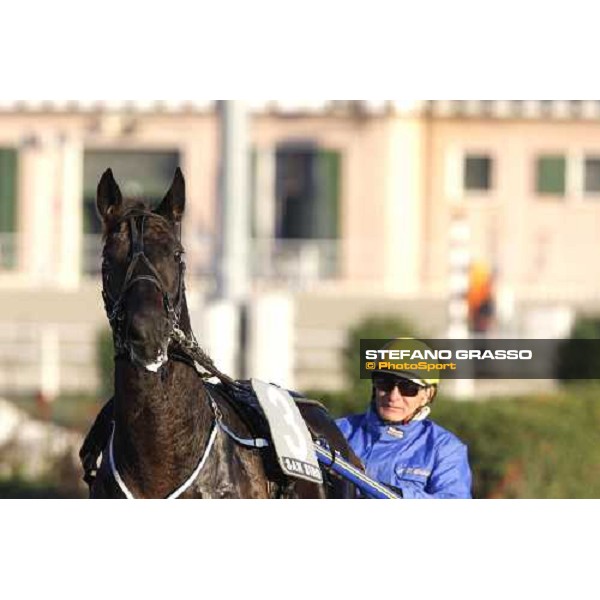 close up for Infinitif and Jan Pierre Dubois before the heat of Gran Premio U.E.T Milan, 16th nov. 2008 ph. Stefano Grasso